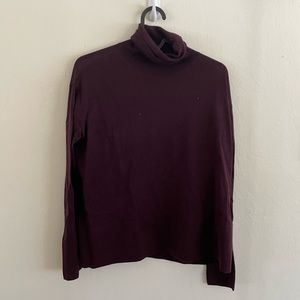 Everlane Womens Small Wool Turtleneck